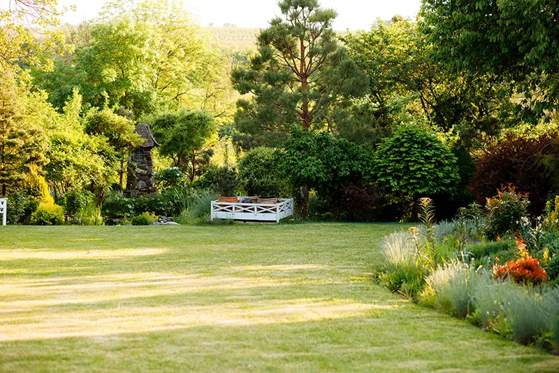 Professional Lawn Care Services in Charleston – Elevate Your Outdoor Space